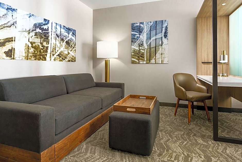 SpringHill Suites by Marriott Belmont Redwood Shores
