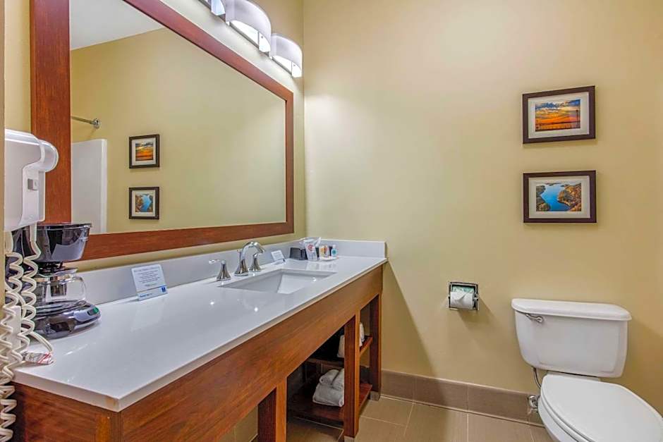 Comfort Inn & Suites Mccomb
