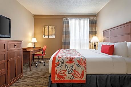 King Room with Sofa Bed - Pet-Friendly/Non-Smoking