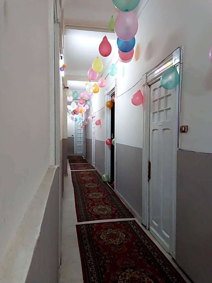 Transit Alexandria Hostel