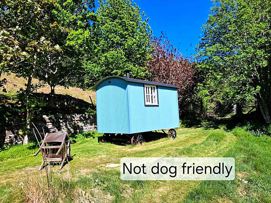 Craskie Glamping Pods
