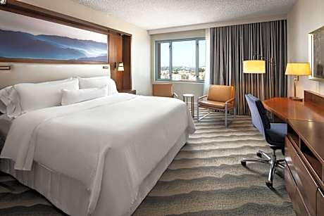 Executive King Guest Room