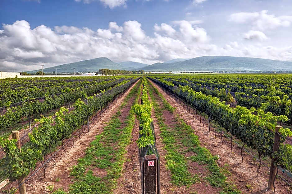 Hotel Rio Tequisquiapan