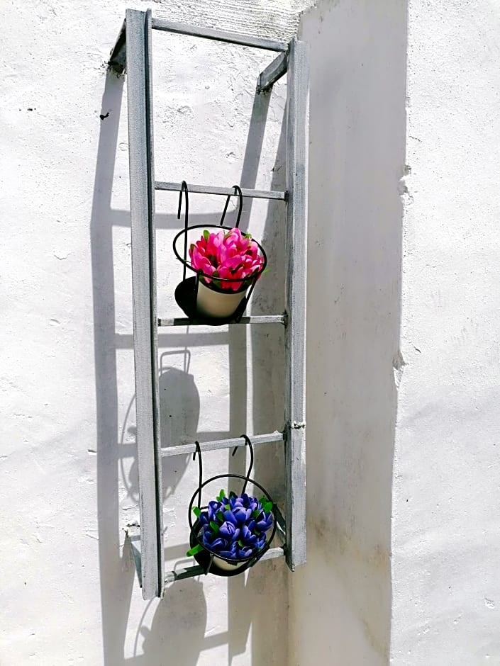 Le Tre Rose di Roberta