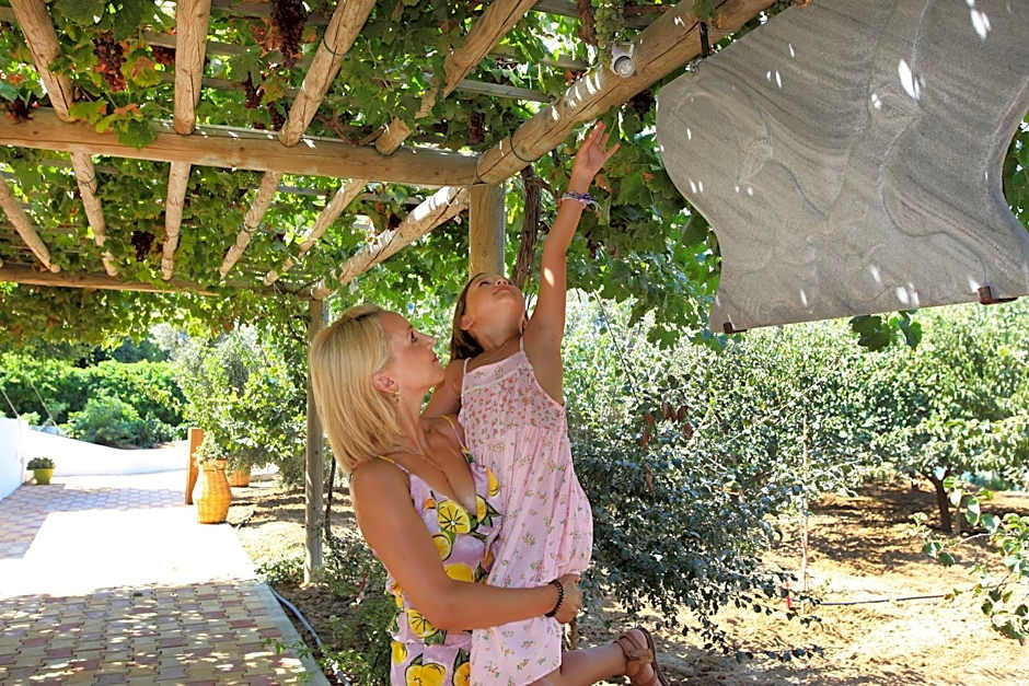 Villa Paradise in Naxos