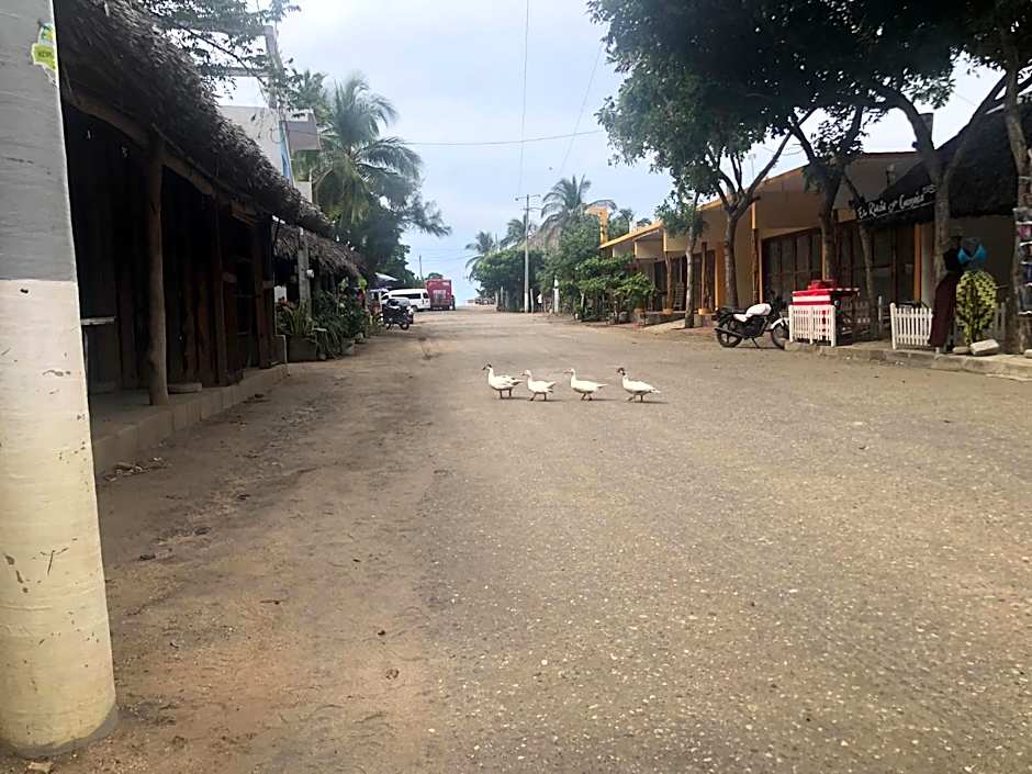 Hab #6 La Casa Del Profe Salo