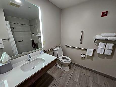 Standard King Room with Mobility Accessible Roll-In Shower