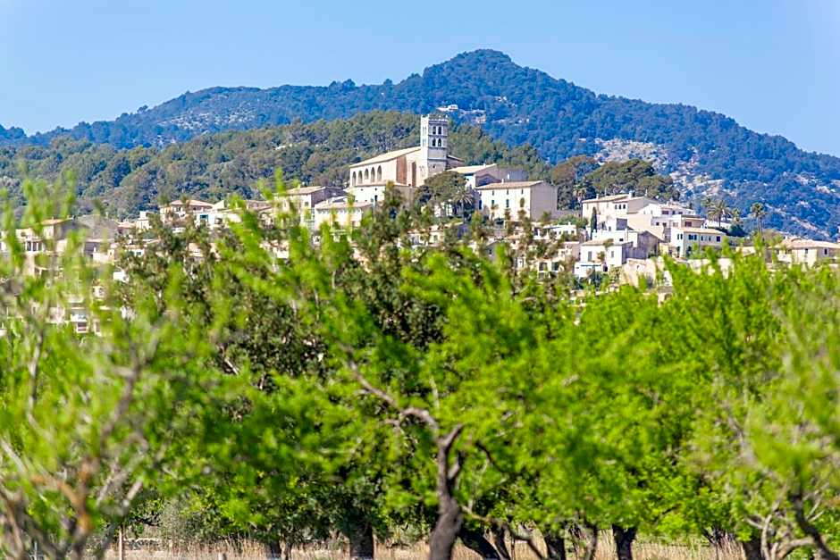 Ses Planes -Ca Na Faustina-