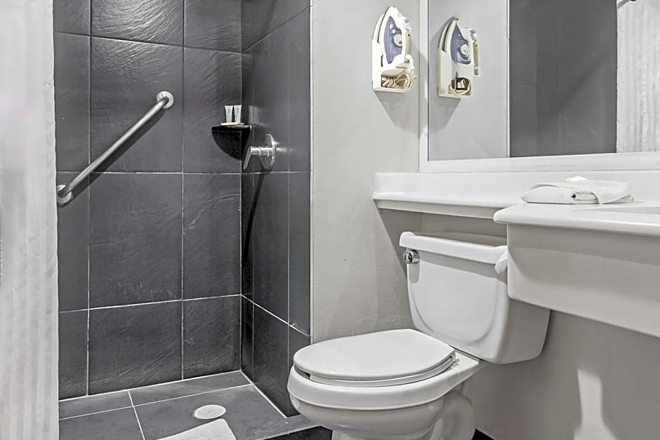 City Express by Marriott Leon