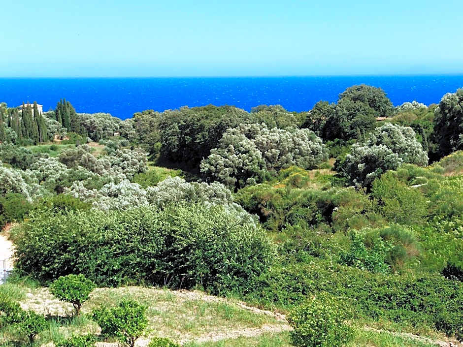 Amazona Apartments and Studios