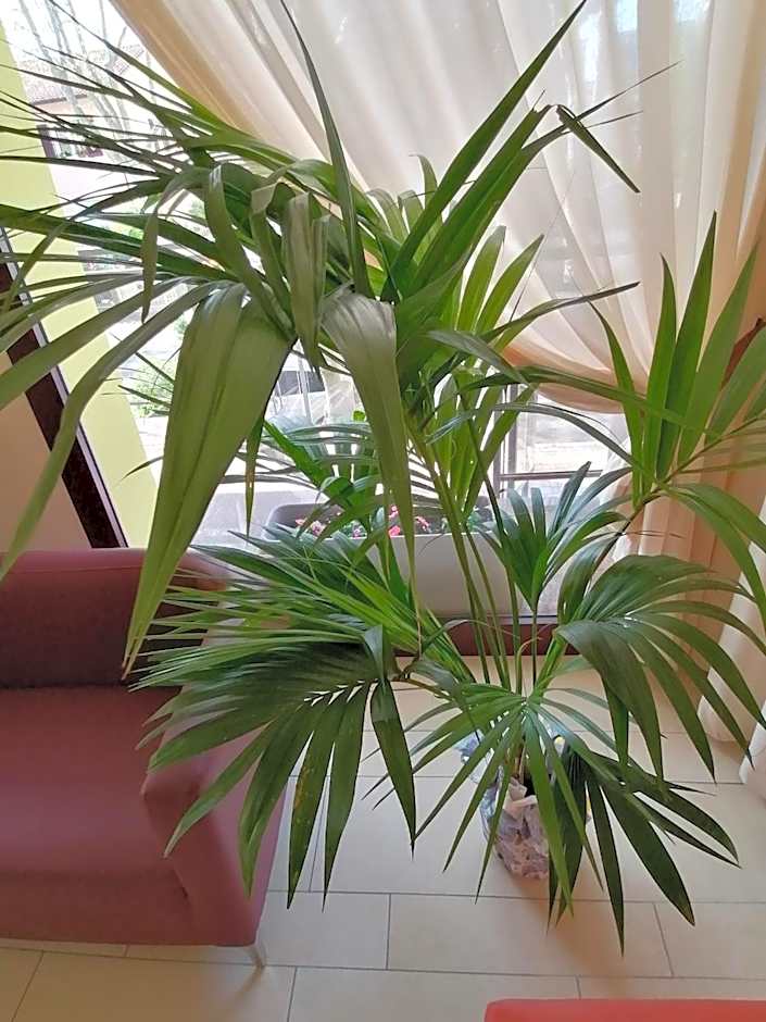 Hotel Abel & Residence