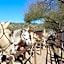 Kay El Bar Guest Ranch