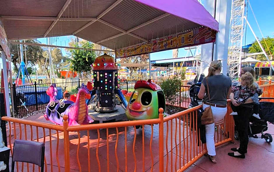 Little Italy Dolphins