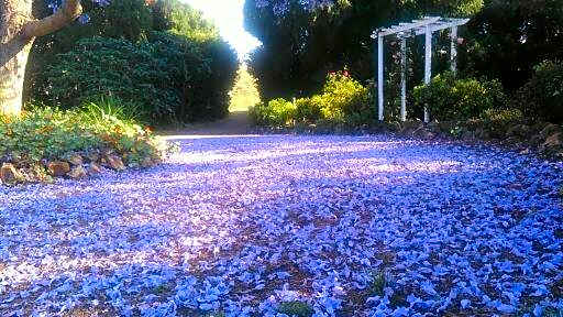 The Old Church Bed and Breakfast