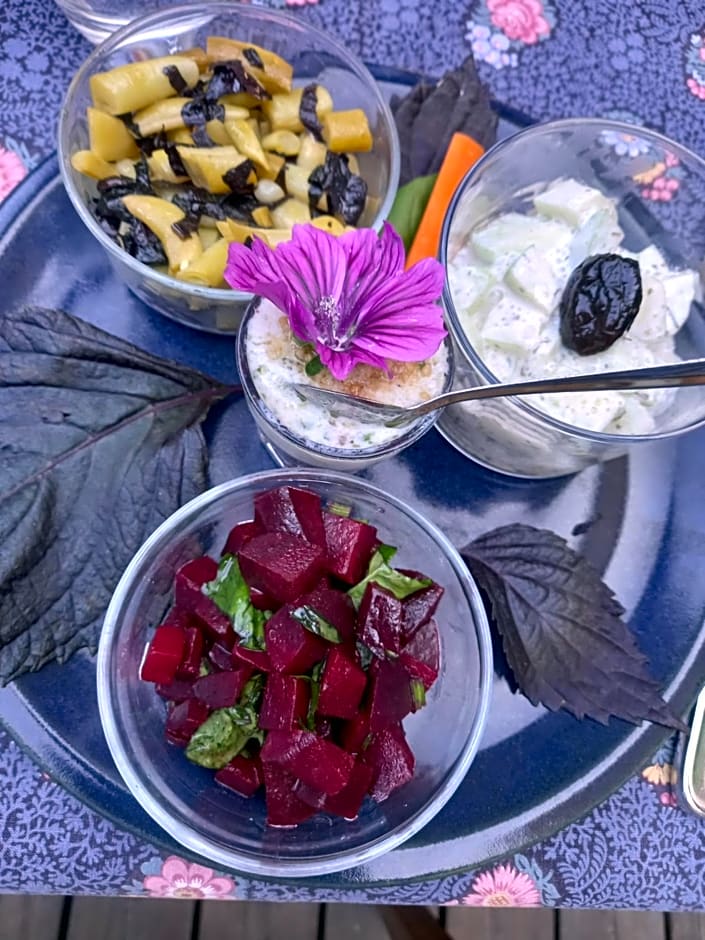 VALRELEY, chambres et table d'hôtes eco-friendly avec bain nordique au sud du massif du Jura