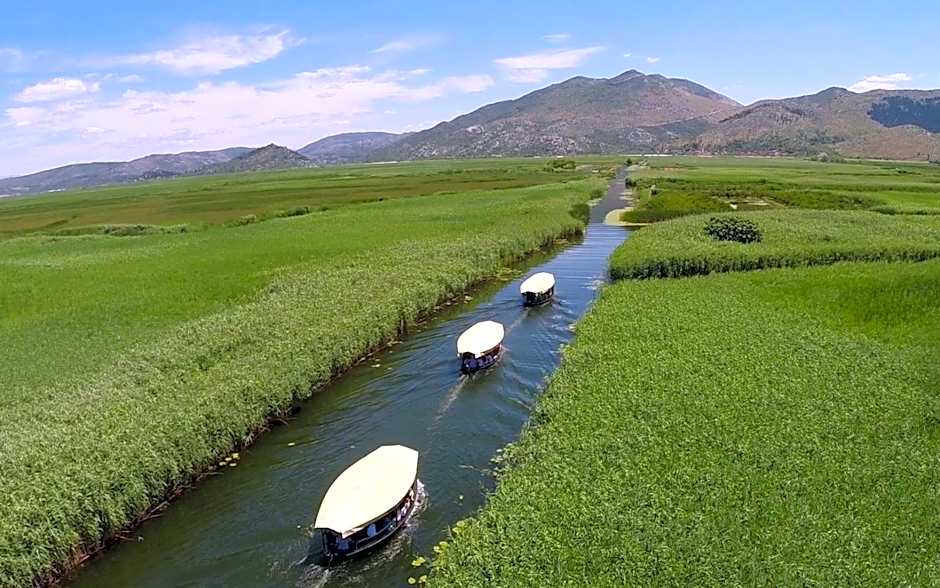 Boutique Hostel Livia