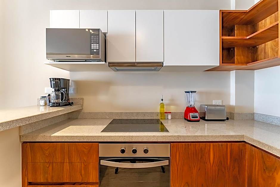 Luxury Apt Gym Jacuzzi WIFI Starlink