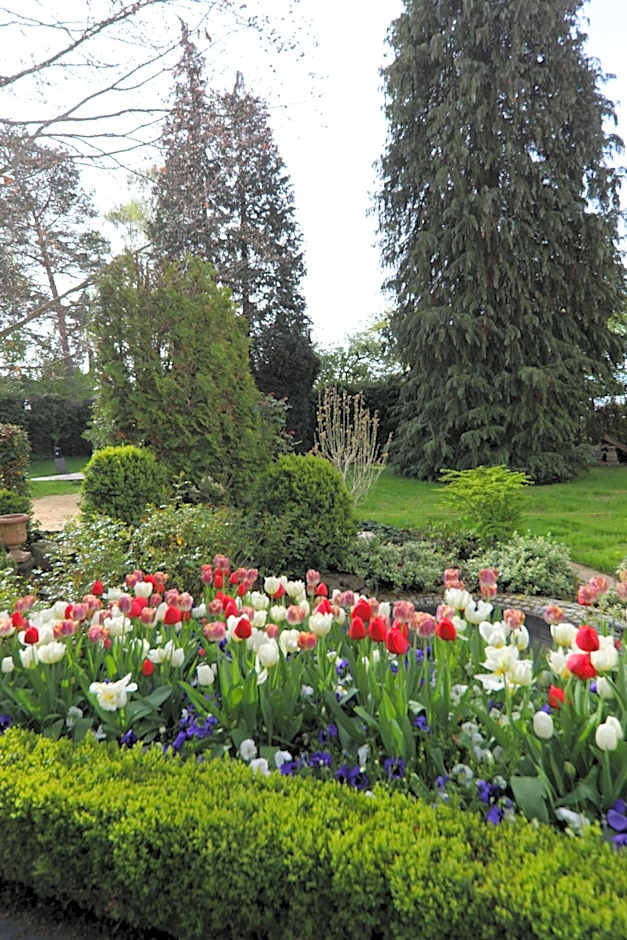 Hotel Weinlaube