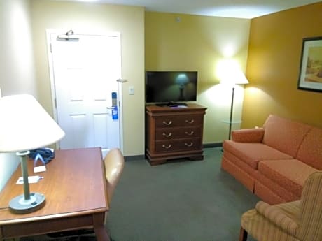 One-Bedroom King Suite - Non-Smoking