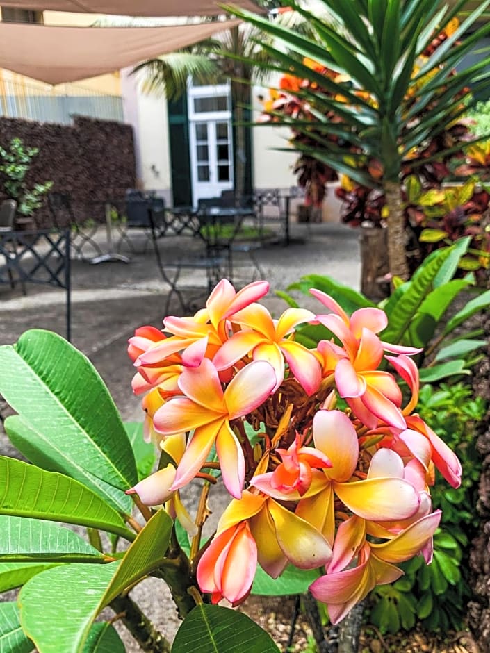 ASPA - Alegria Studios