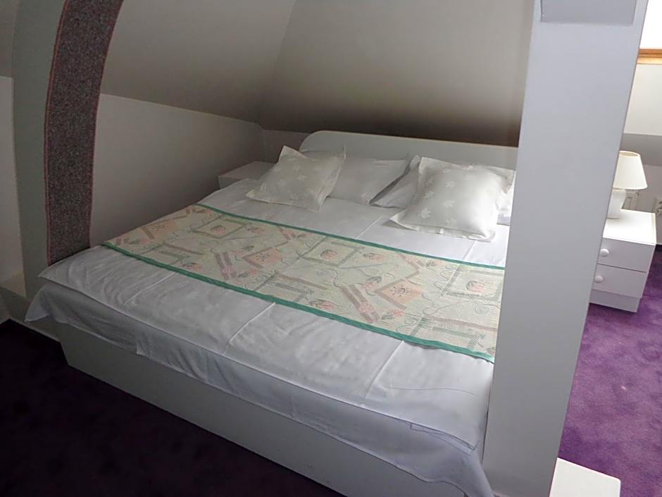 Hotel Vacek Pod Věží