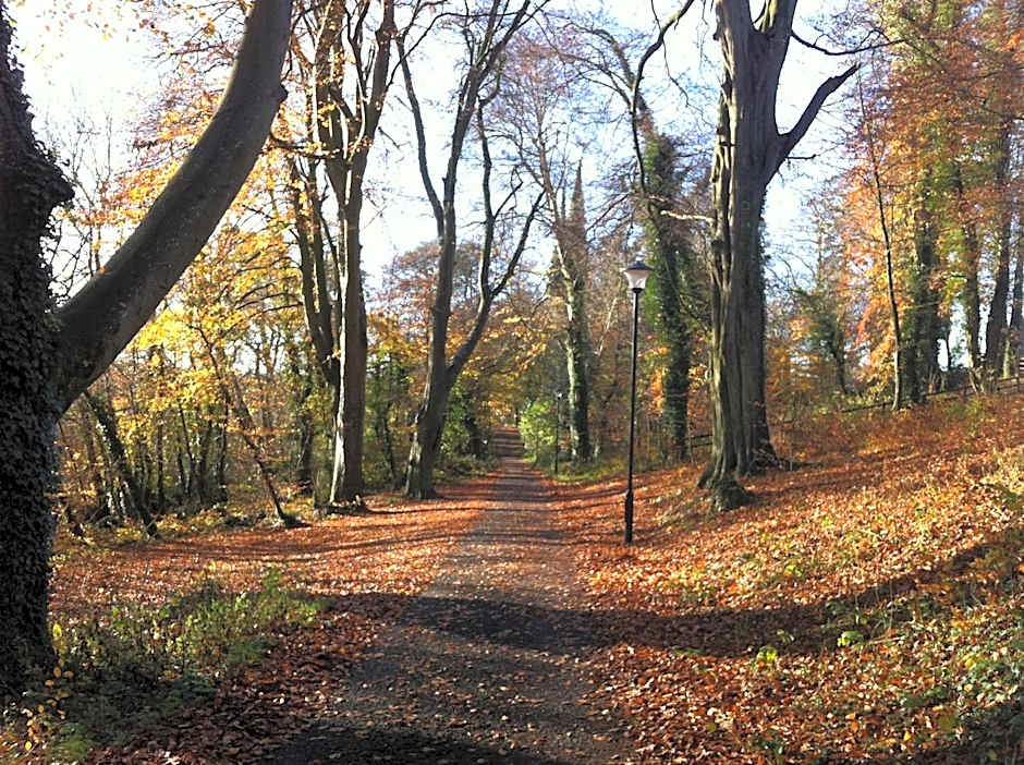 Nuremore Estate