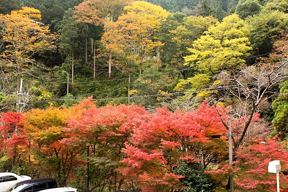 Yadori Onsen Iyashinoyu