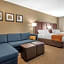 Comfort Suites Auburn near I-69