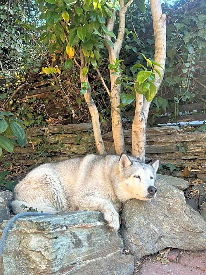 Southern Laughter Backpackers