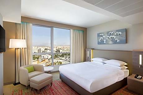 Business Room, Larger Guest room, King