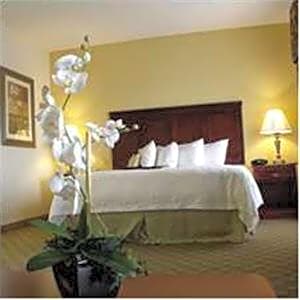 Hampton Inn & Suites Lubbock