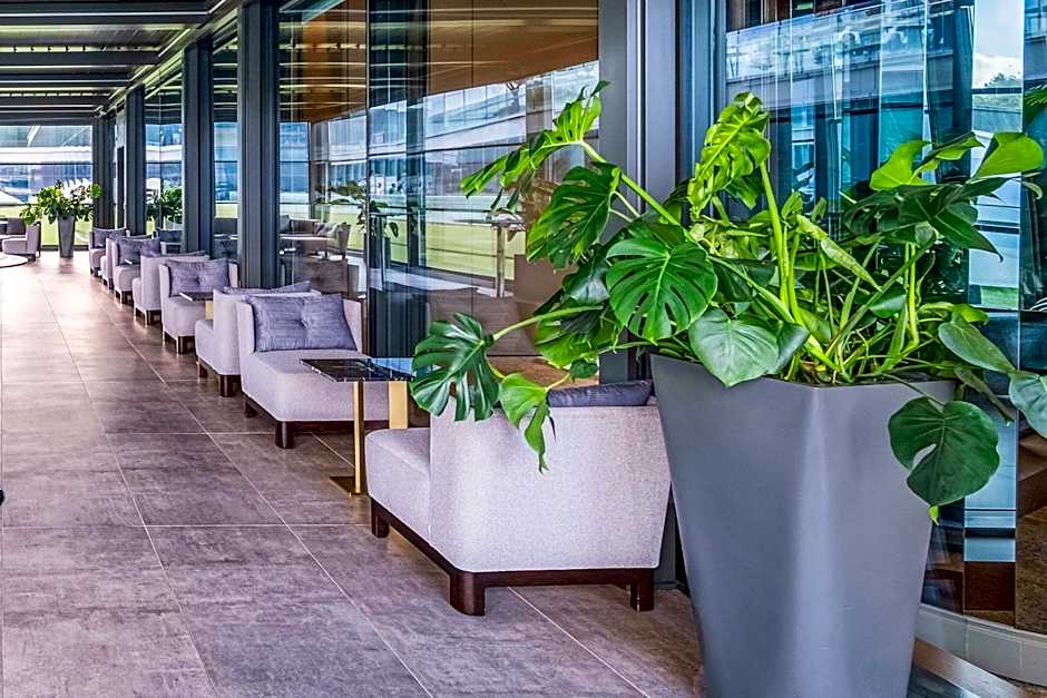 Radisson Collection Hotel, Vadistanbul