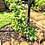 The Reside Fully Furnished Condos - Medical Stays Welcome