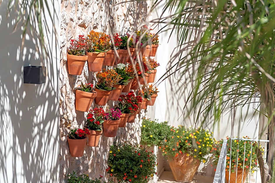 Placeta Vella Turismo de Interior