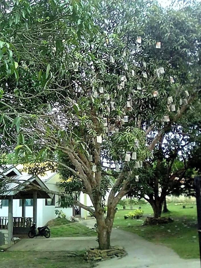 Balai Mariacaria Pension House