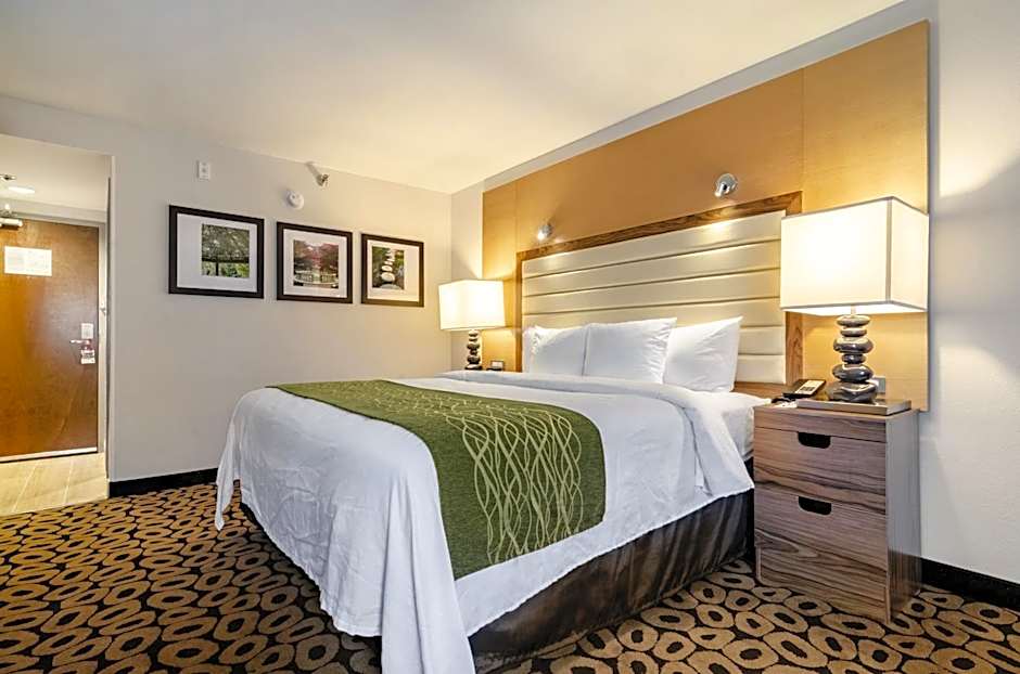 Comfort Inn Raleigh Midtown