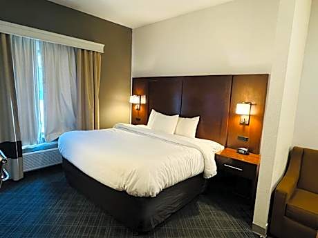 1 King Bed, Suite, Nonsmoking, Accessible