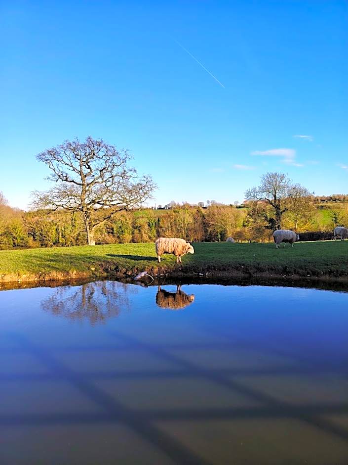 Écodomaine le Vérin, Gîtes et spa - Mer, Nature & Confort - Côte d'Opale