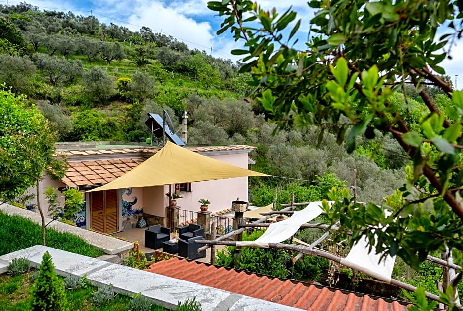 Domus Ars Home & Spa