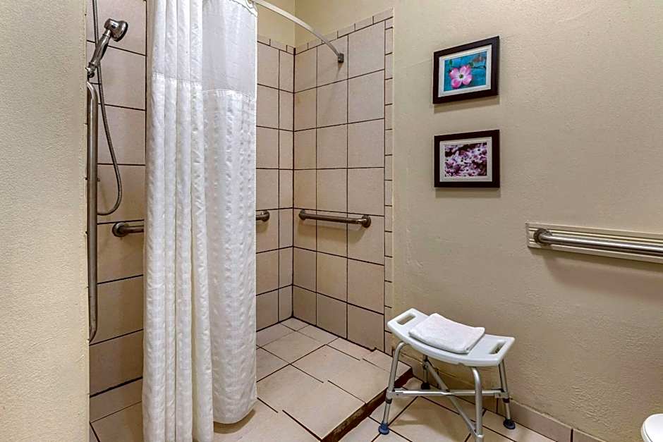 Comfort Inn & Suites Villa Rica