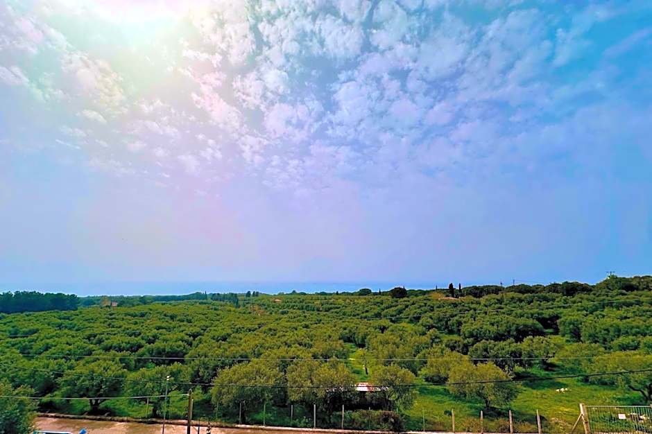 Orizontes View Hotel