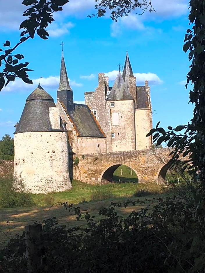Chateau de Bourgon