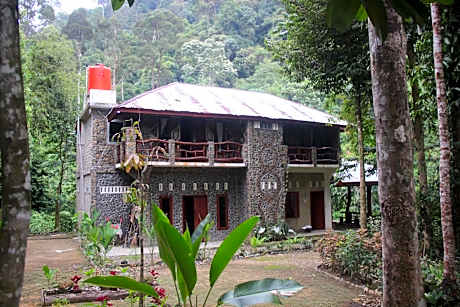 Rinte Green Village & Bukit Lawang Jungle Trekking