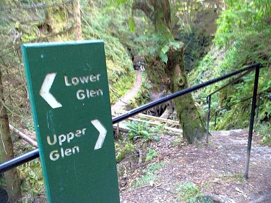 Pucks Glen Lodges - Cosy Lodges in a Woodland Setting