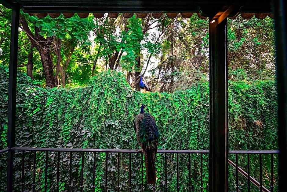 Hotel Legado Alcazar