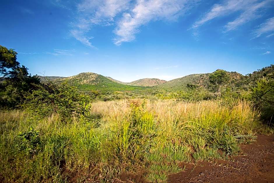 Lush Private Game Lodge