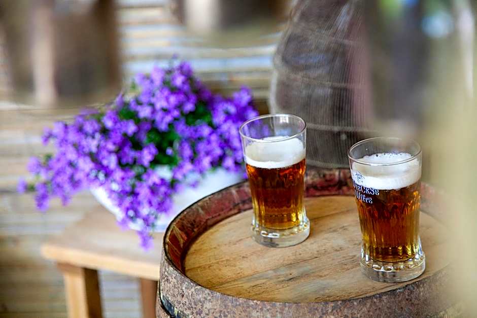 O'Myosotis - 400m Centre Historique - Parking Gratuit - Piscine et Jardin