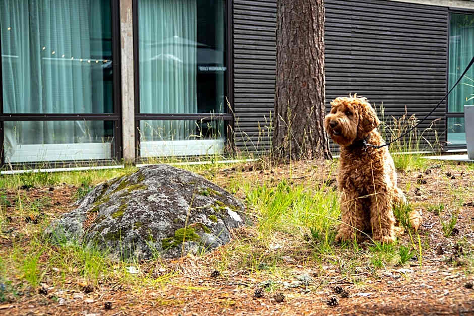 Quality Hotel Sveitsi
