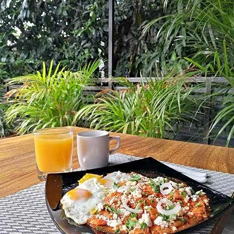 Nardazul "Casa de Sueños"