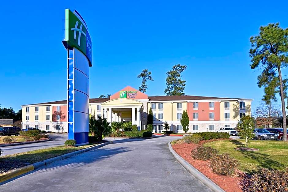 Holiday Inn Express & Suites Kingwood - Medical Center Area – Houston, TX